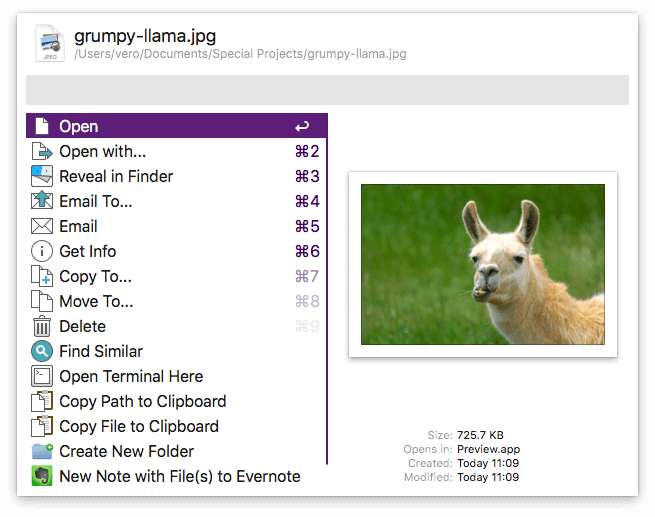 文件预览 - Grumpy Llama